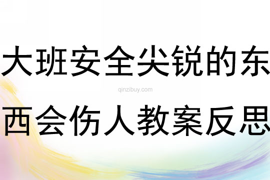 大班安全教育活动尖锐的东西会伤人教案反思