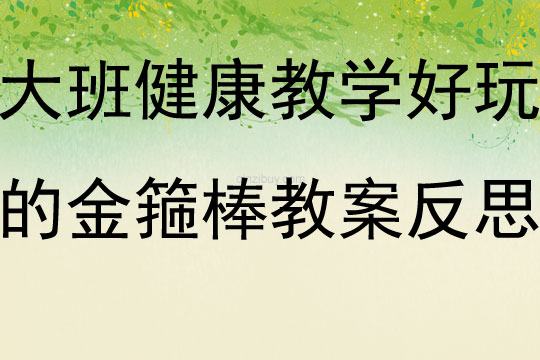 大班健康教学活动好玩的金箍棒教案反思