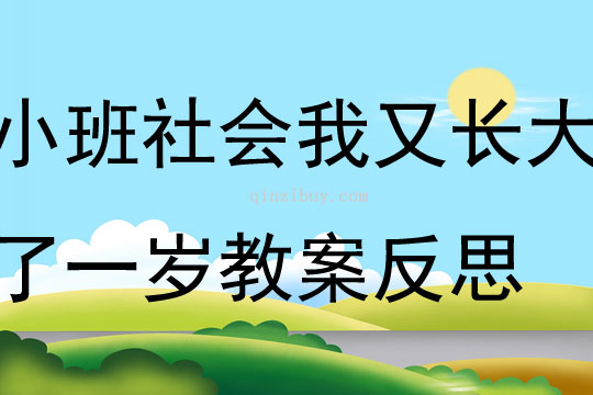 小班社会我又长大了一岁教案反思