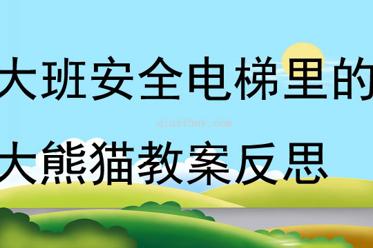 大班安全电梯里的大熊猫教案反思