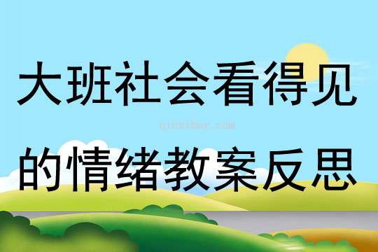 大班社会活动看得见的情绪教案反思