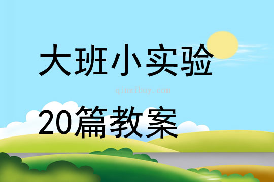 大班小实验20篇教案