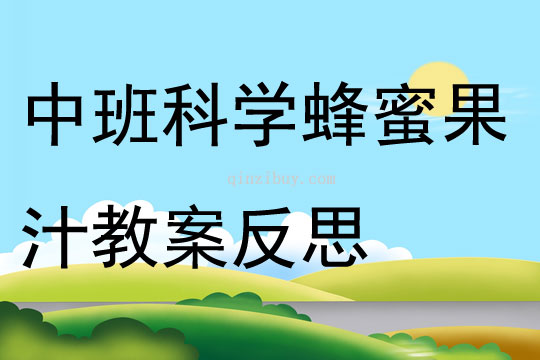 中班科学蜂蜜果汁教案反思