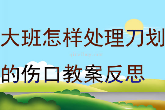 大班健康怎样处理刀划的伤口教案反思