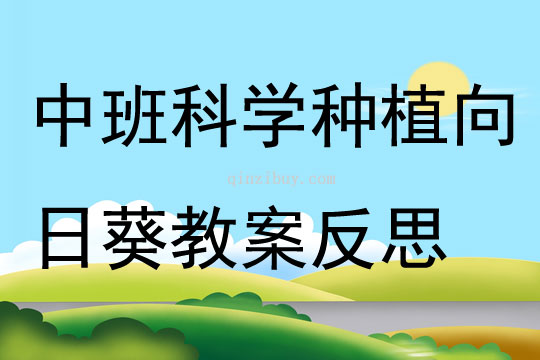 中班科学活动种植向日葵教案反思