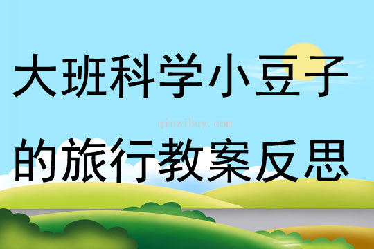 大班科学小豆子的旅行教案反思