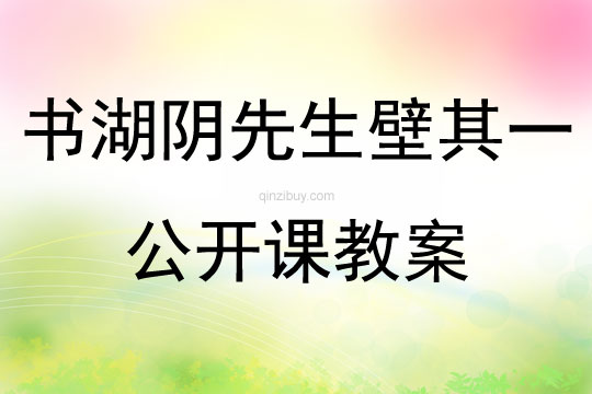 书湖阴先生壁其一公开课教案