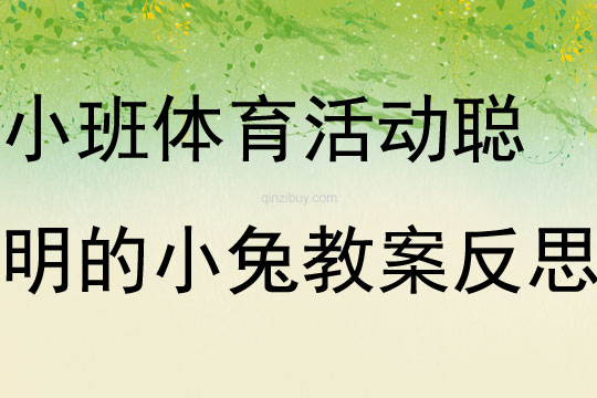 小班体育活动有趣的布垫教案反思