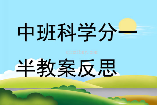 中班科学分一半教案反思