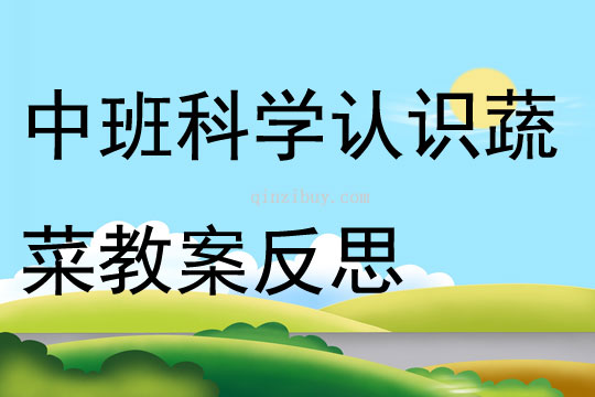 中班科学认识蔬菜教案反思