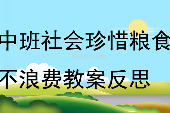 中班社会珍惜粮食不浪费教案反思