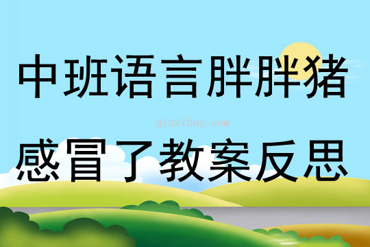 中班语言胖胖猪感冒了教案反思