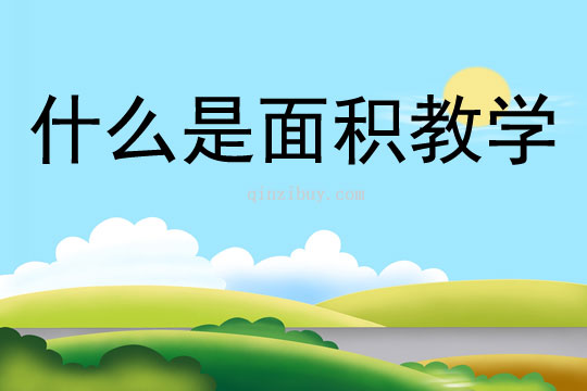 什么是面积教学