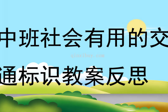 中班社会活动有用的交通标识教案反思