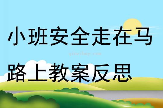 小班安全教育走在马路上教案反思