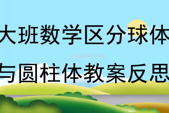 大班数学活动区分球体与圆柱体教案反思