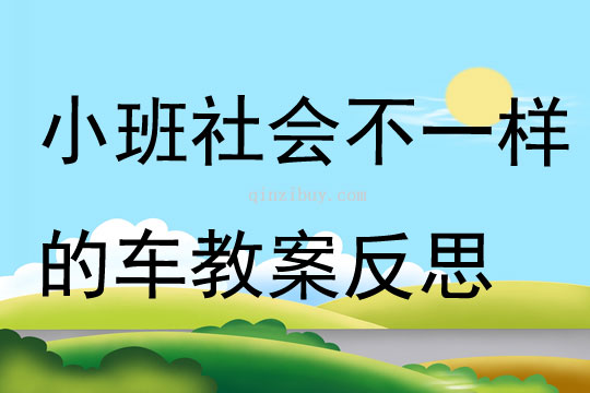 小班社会公开课活动不一样的车教案反思