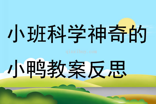 小班科学神奇的小鸭教案反思