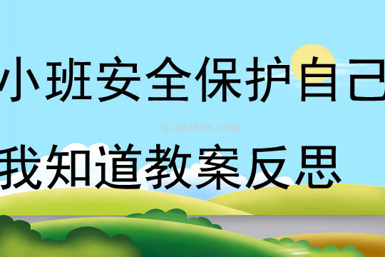 小班安全保护自己我知道教案反思