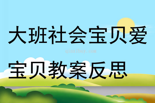 大班社会活动宝贝爱宝贝教案反思