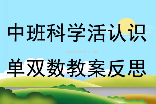 中班科学活动认识单双数教案反思