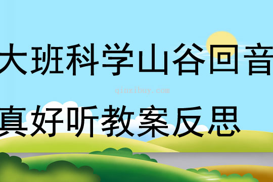 大班科学山谷回音真好听教案反思