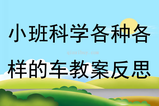 小班科学活动各种各样的车教案反思