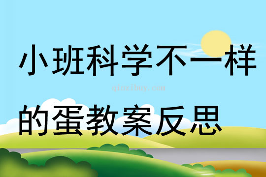 小班科学不一样的蛋教案反思