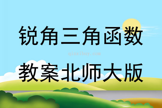 锐角三角函数教案北师大版