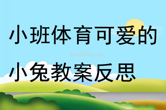 小班体育可爱的小兔教案反思