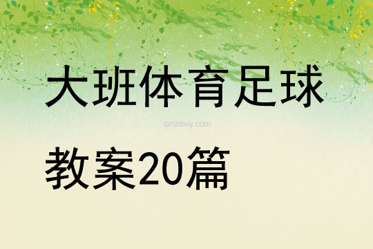 大班体育足球教案20篇