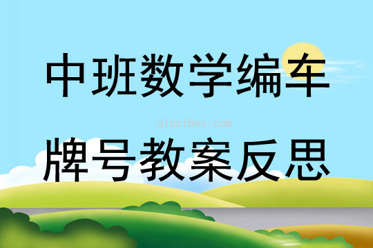 中班数学公开课编车牌号教案反思