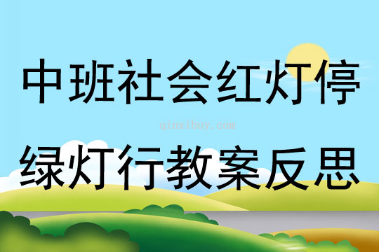 中班社会活动红灯停绿灯行教案反思