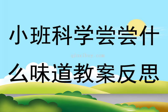 小班科学尝尝什么味道教案反思