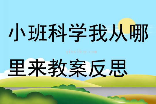 小班科学活动我从哪里来教案反思