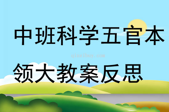 中班科学活动五官本领大教案反思