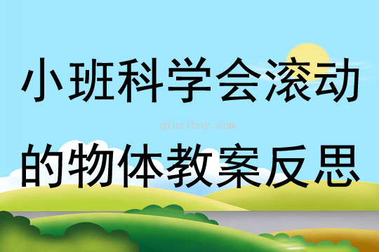 小班科学会滚动的物体教案反思