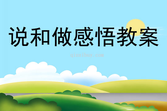 说和做感悟教案