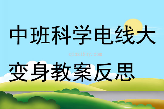 中班科学电线大变身教案反思