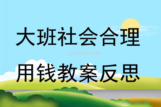 大班社会合理用钱教案反思