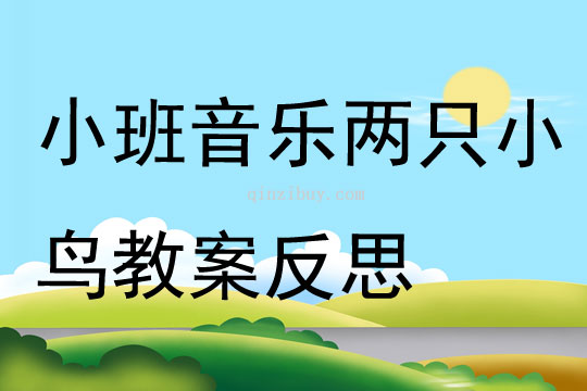 小班音乐公开课两只小鸟教案反思