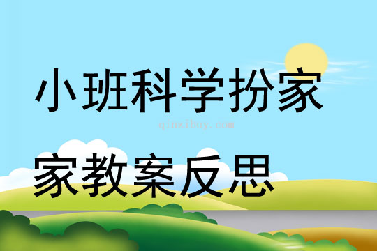 小班科学扮家家教案反思