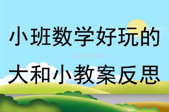 小班数学好玩的大和小教案反思