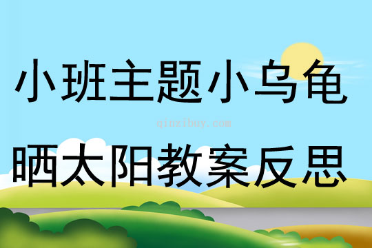 小班主题小乌龟晒太阳教案反思