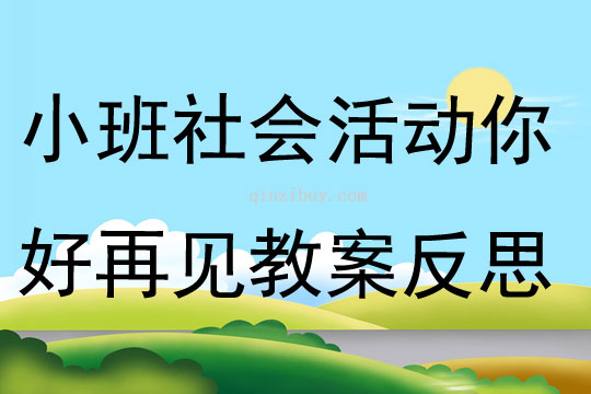 小班社会活动你好再见教案反思