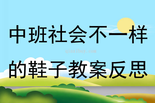 中班社会不一样的鞋子教案反思