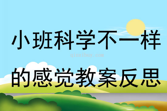 小班科学不一样的感觉教案反思