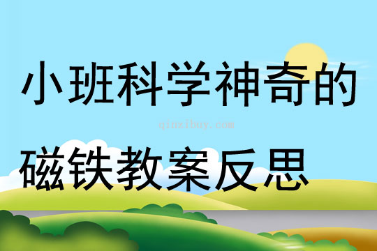 小班科学神奇的磁铁教案反思