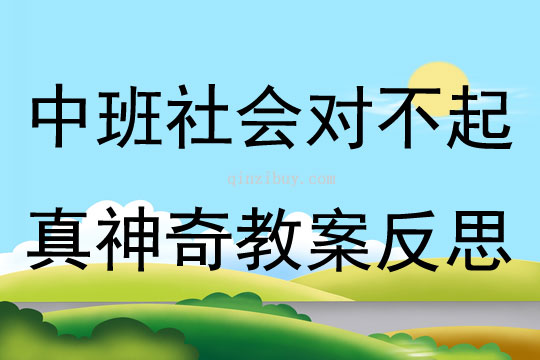 中班社会对不起真神奇教案反思