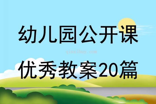 幼儿园公开课优秀教案20篇